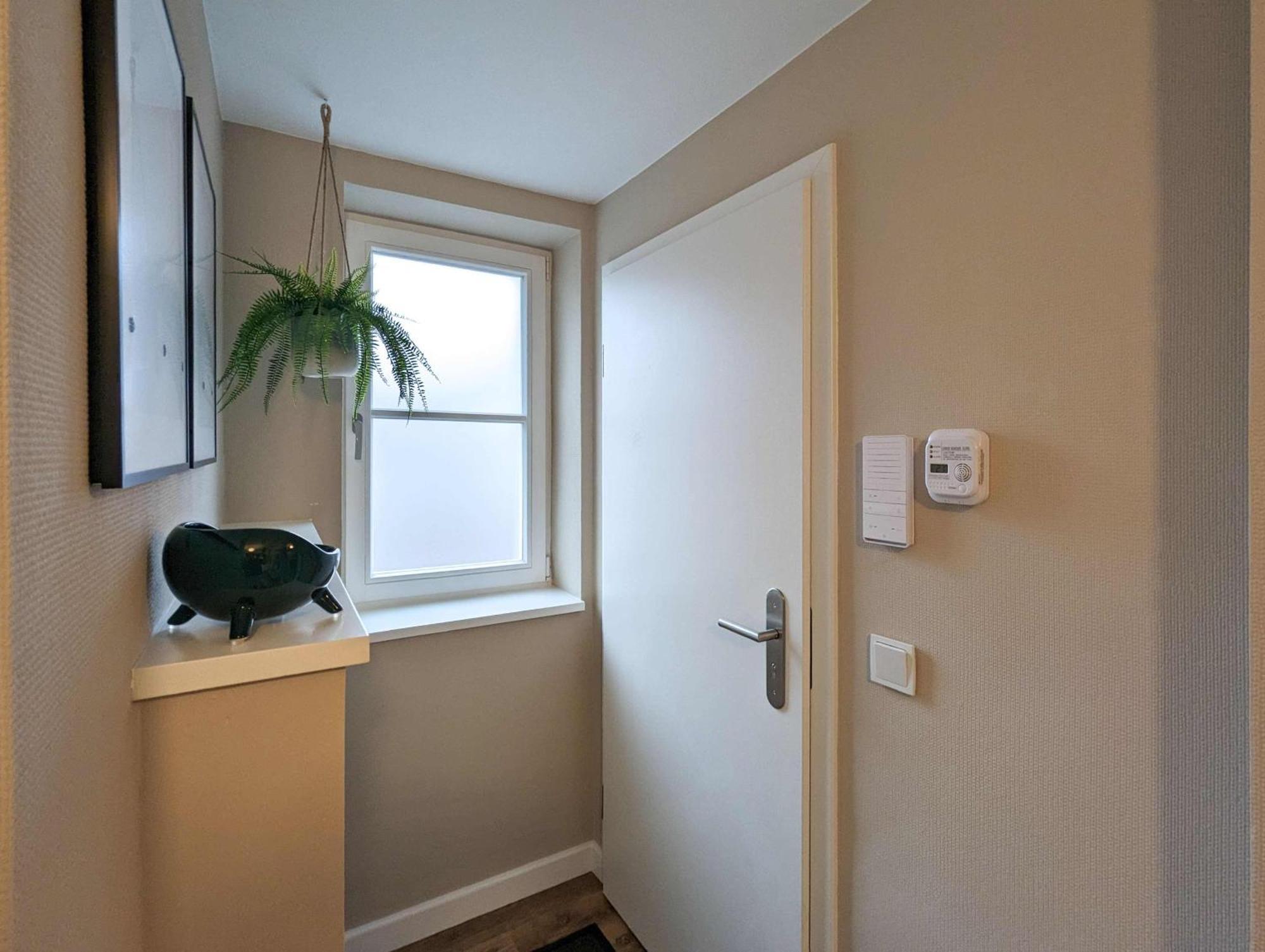 Strelapartment By Meinke Mitten In Der Altstadt 施特拉尔松德 客房 照片